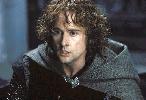 Peregrin Took